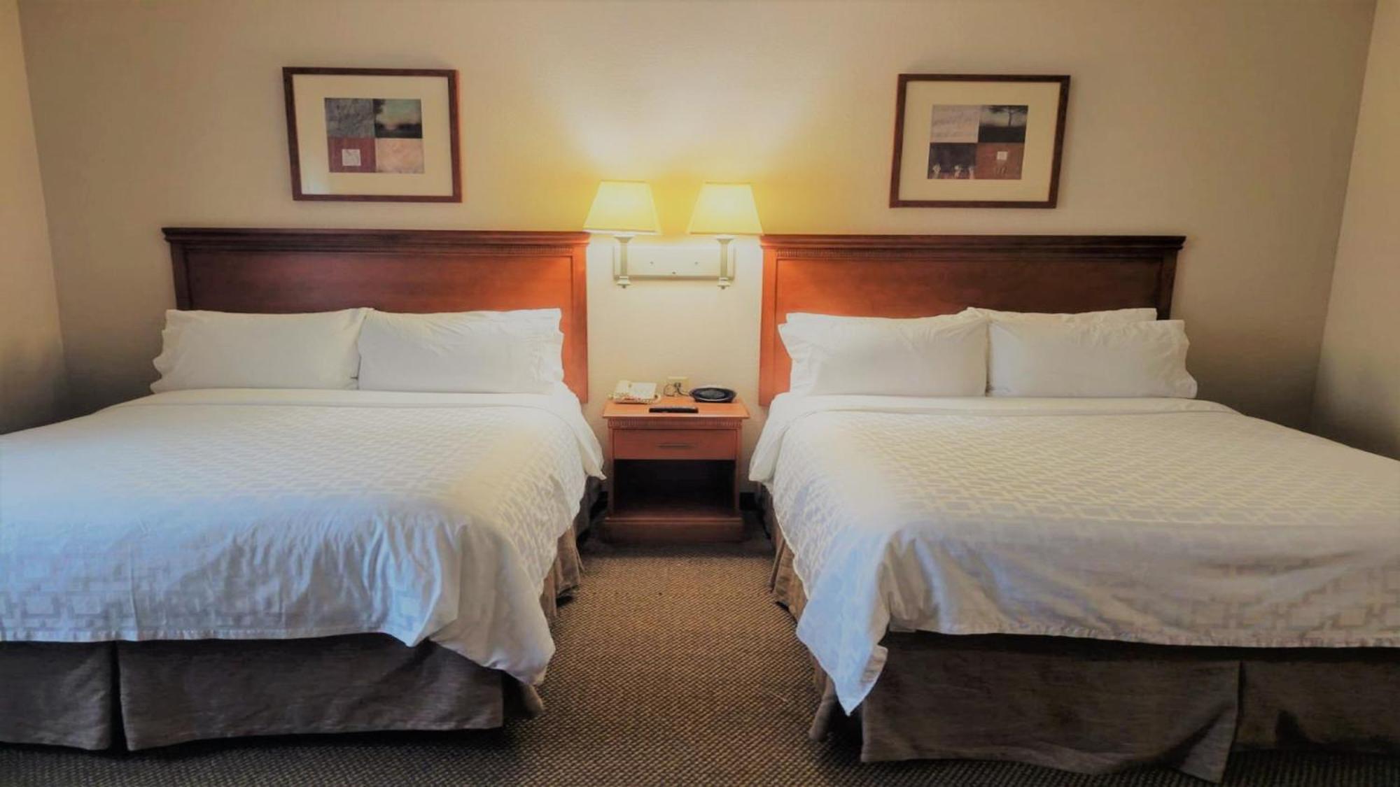 Candlewood Suites San Antonio Downtown By Ihg Exterior photo